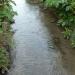 Wissant: cours d'eau