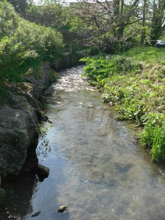 Wissant: cours d'eau