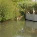 Wissant: cours d'eau