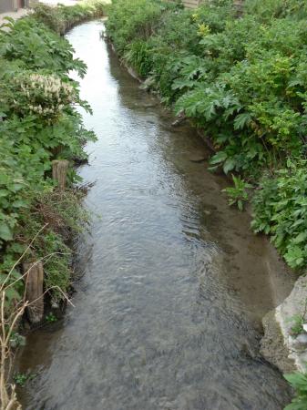 Wissant: cours d'eau